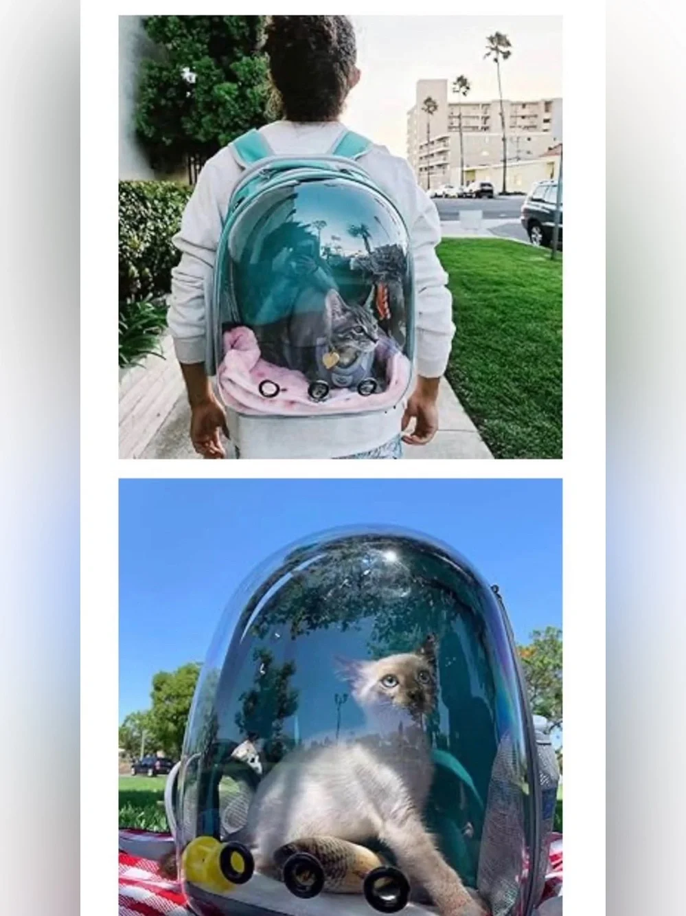 Lollimeow Expandable Cat Bubble Backpack Carrier